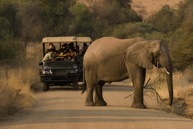 5 Day Radisson Kruger Fly-In Safari from Johannesburg